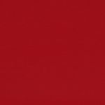 205 Bright Red