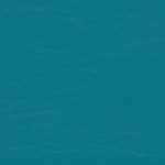 217 Teal