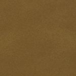 227 Buckskin