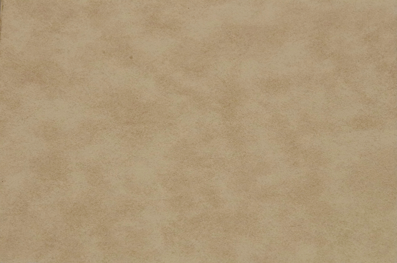 304 - Light Parchment  (+4.00)