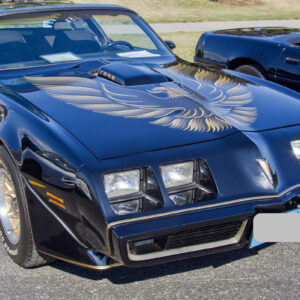 Camaro and Firebird Armrest