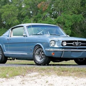 Ford Mustang Saddle Cruiser